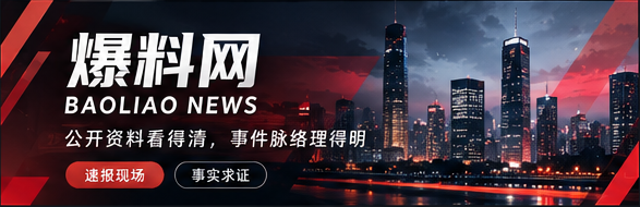 爆料网公开资料阅读与编辑观察